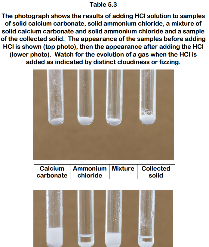 Table 5.3
The photograph shows the results of adding HCI solution to samples
of solid calcium carbonate, solid ammonium chloride, a mixture of
solid calcium carbonate and solid ammonium chloride and a sample
of the collected solid. The appearance of the samples before adding
HCl is shown (top photo), then the appearance after adding the HCl
(lower photo). Watch for the evolution of a gas when the HCI is
added as indicated by distinct cloudiness or fizzing.
Calcium Ammonium Mixture Collected
carbonate chloride
solid

