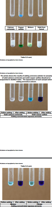 The photo shows the results of adding ammonia solution to smple
