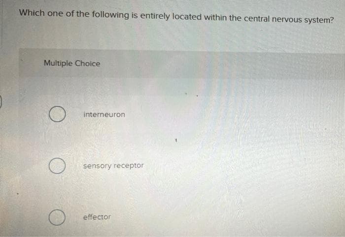Which one of the following is entirely located within the central nervous system?
Multiple Choice
interneuron
sensory receptor
effector
