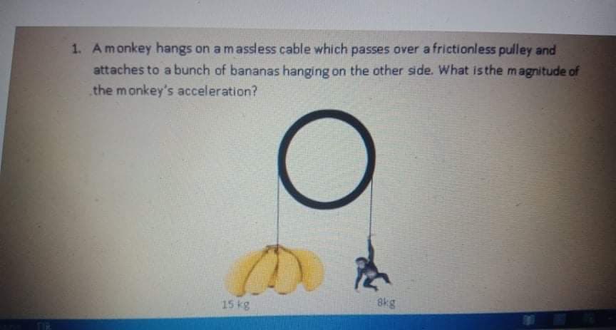 1. Amonkey hangs on a massless cable which passes over a frictionless pulley and
attaches to a bunch of bananas hanging on the other side. What isthe magnitude of
the monkey's acceleration?
8kg
15 kg
