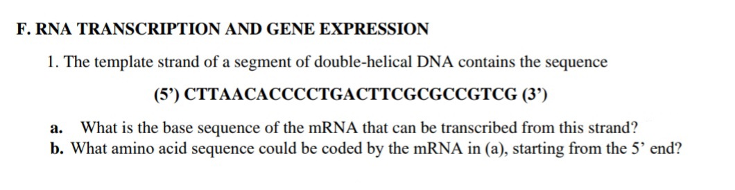 F. RNA TRANSCRIPTION AND GENE EXPRESSION
1. The template strand of a segment of double-helical DNA contains the sequence
(5) СТТААСАССССТGAСТТСGCGCCGTCG (3')
What is the base sequence of the mRNA that can be transcribed from this strand?
b. What amino acid sequence could be coded by the mRNA in (a), starting from the 5' end?
а.
