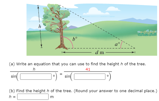 h
a°
d m
(a) Write an equation that you can use to find the height h of the tree.
41
sin
(b) Find the height h of the tree. (Round your answer to one decimal place.)
h =
m
