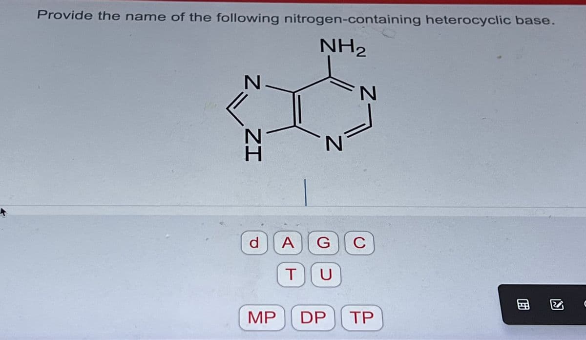 Provide the name of the following nitrogen-containing heterocyclic base.
NH₂
N
N
ZI
d
N
N
A
T U
G C
MP DP TP