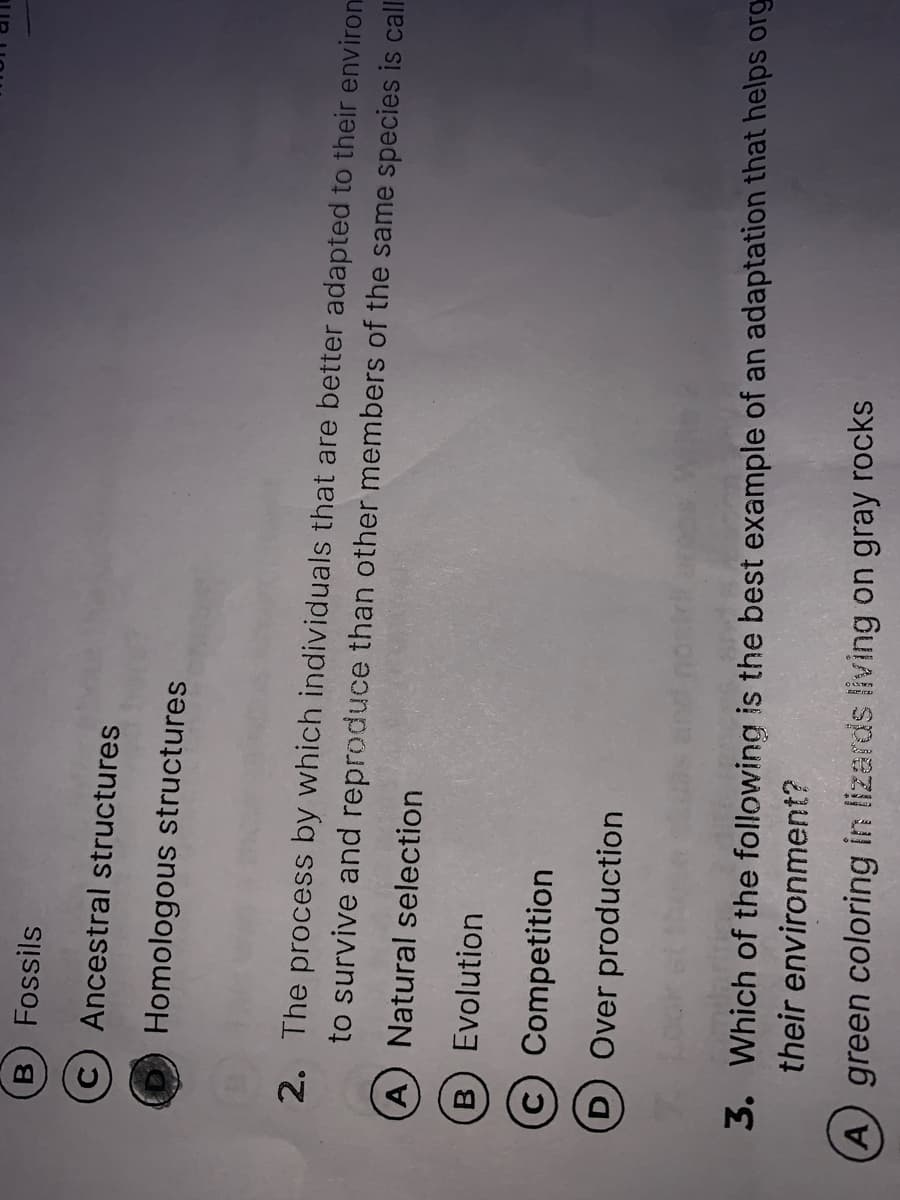 B.
Fossils
c) Ancestral structures
Homologous structures
2. The process by which individuals that are better adapted to their environ
to survive and reproduce than other members of the same species is call
A Natural selection
B.
Evolution
C Competition
D.
Over production
3. Which of the following is the best example of an adaptation that helps org
their environment?
A green coloring in lizerds living on gray rocks
