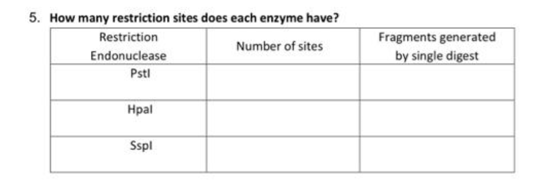 5. How many restriction sites does each enzyme have?
Restriction
Fragments generated
Number of sites
Endonuclease
Pstl
by single digest
Нраl
Sspl
