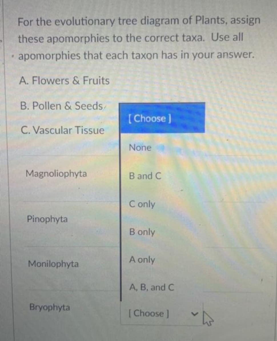 For the evolutionary tree diagram of Plants, assign
these apomorphies to the correct taxa. Use all
apomorphies that each taxon has in your answer.
A. Flowers & Fruits
B. Pollen & Seeds
[Choose )
C. Vascular Tissue
None
Magnoliophyta
B and C
C only
Pinophyta
B only
A only
Monilophyta
A, B, and C
Bryophyta
[Choose ]
