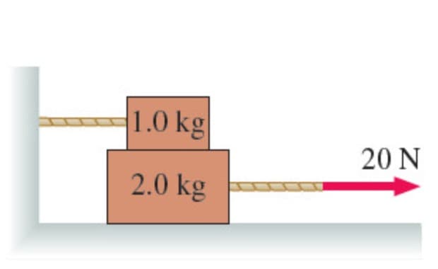 1.0 kg
20 N
2.0 kg
