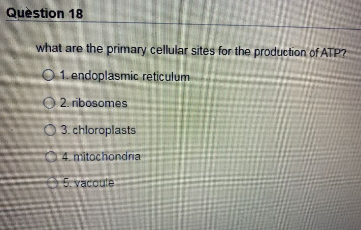 Question 18
what are the primary cellular sites for the production of ATP?
O 1. endoplasmic reticulum
O 2. ribosomes
O 3. chloroplasts
4. mitochondria
5.vacoule
