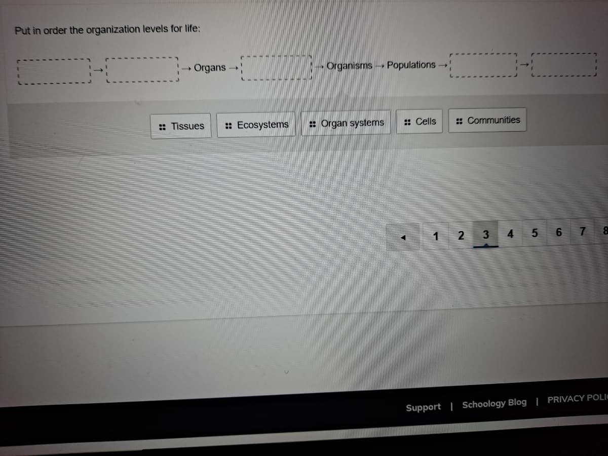 Put in order the organization levels for life:
Organs→
- Organisms Populations
:: Tissues
:: Ecosystems
: Organ systems
: Cells
: Communities
1 2 3
4
5
6
7
Support | Schoology Blog | PRIVACY POLI
