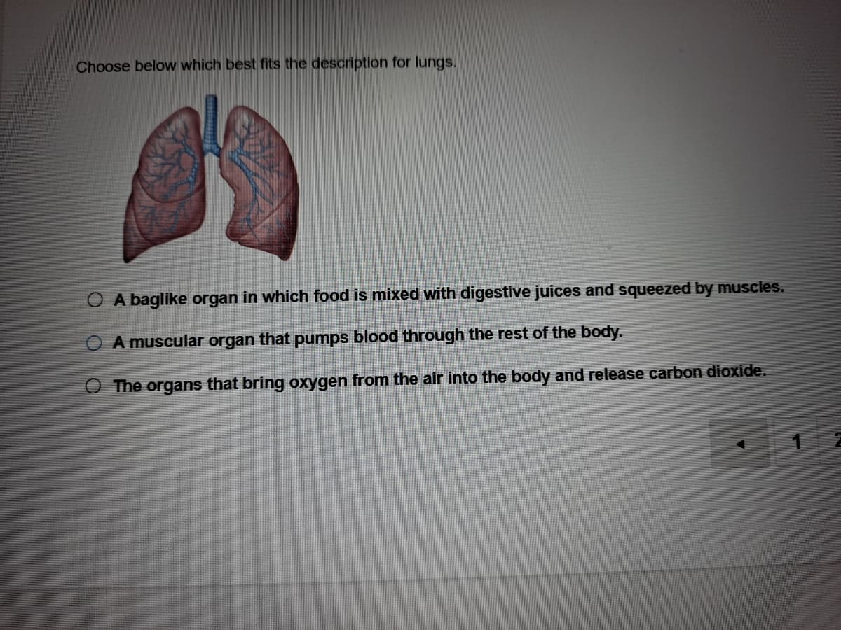 Choose below which best fits the description for lungs.
O A baglike organ in which food is mixed with digestive juices and squeezed by muscles.
O A muscular organ that pumps blood through the rest of the body..
O The organs that bring oxygen from the air into the body and release carbon dioxide.
