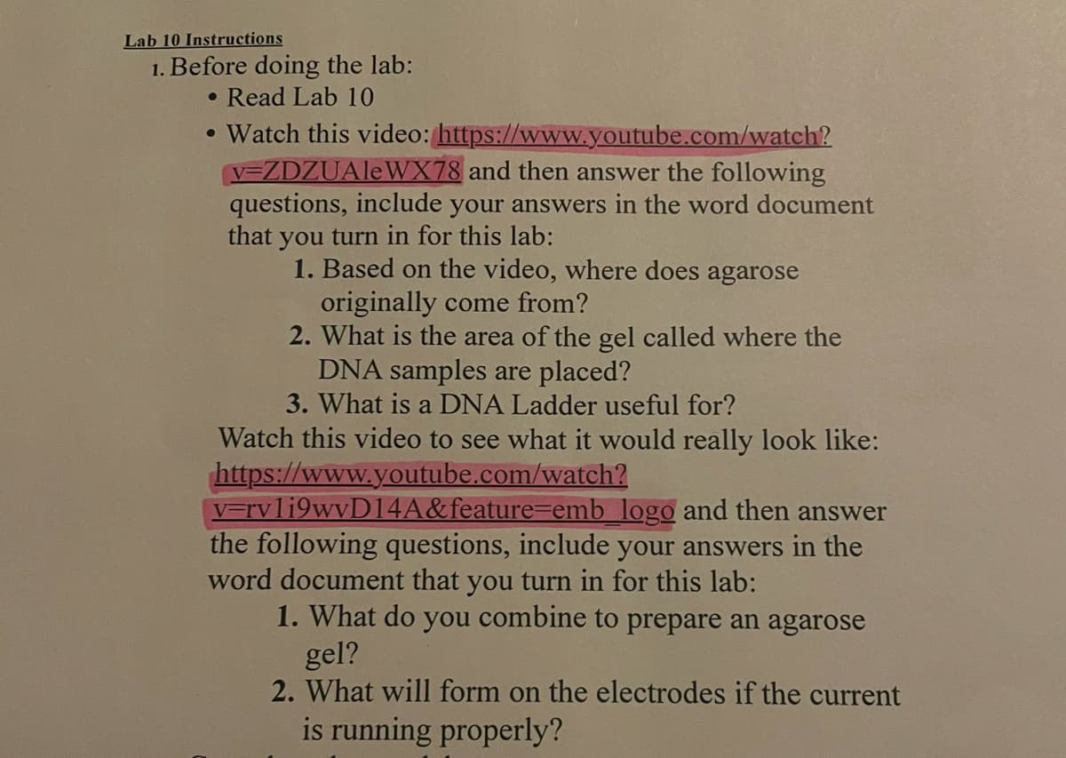 Lab 10 Instructions
1. Before doing the lab:
• Read Lab 10
• Watch this video: https://www.youtube.com/watch?
V=ZDZUAleWX78 and then answer the following
questions, include your answers in the word document
that you turn in for this lab:
1. Based on the video, where does agarose
originally come from?
2. What is the area of the gel called where the
DNA samples are placed?
3. What is a DNA Ladder useful for?
Watch this video to see what it would really look like:
https://www.youtube.com/watch?
V=rvli9wvD14A&feature=emb logo and then answer
the following questions, include your answers in the
word document that you turn in for this lab:
1. What do you combine to prepare an agarose
gel?
2. What will form on the electrodes if the current
is running properly?
