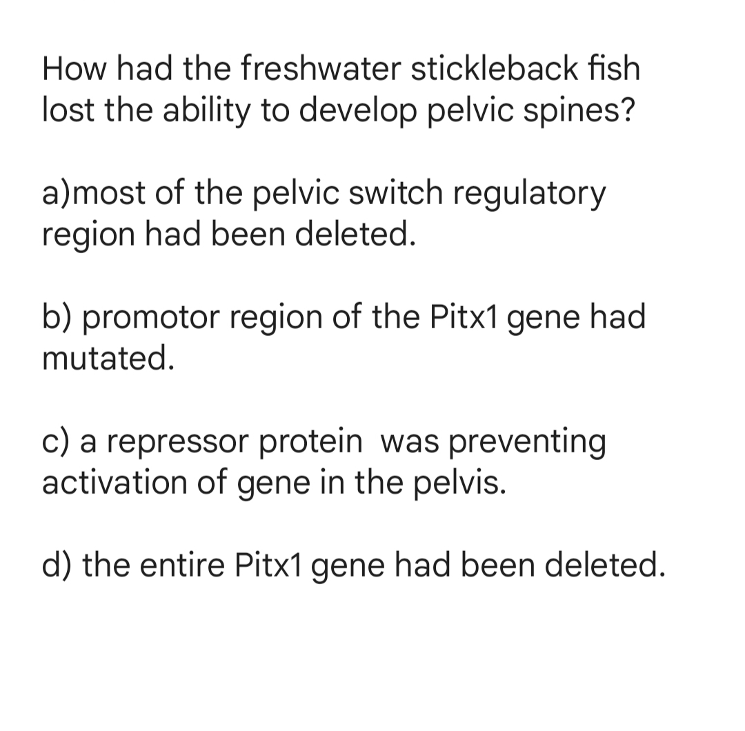 How had the freshwater stickleback fish
lost the ability to develop pelvic spines?
a)most of the pelvic switch regulatory
region had been deleted.
b) promotor region of the Pitx1 gene had
mutated.
c) a repressor protein was preventing
activation of gene in the pelvis.
d) the entire Pitx1 gene had been deleted.
