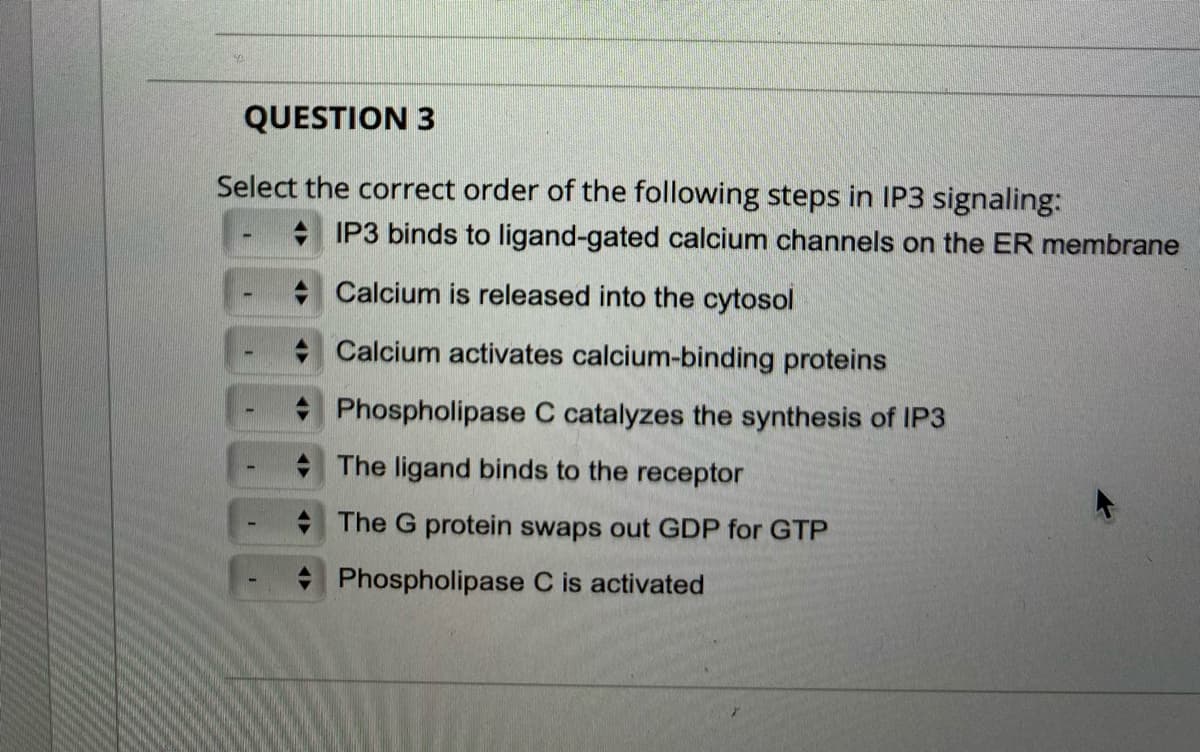 QUESTION 3
Select the correct order of the following steps in IP3 signaling:
+ IP3 binds to ligand-gated calcium channels on the ER membrane
+ Calcium is released into the cytosol
+ Calcium activates calcium-binding proteins
Phospholipase C catalyzes the synthesis of IP3
The ligand binds to the receptor
* The G protein swaps out GDP for GTP
Phospholipase C is activated
