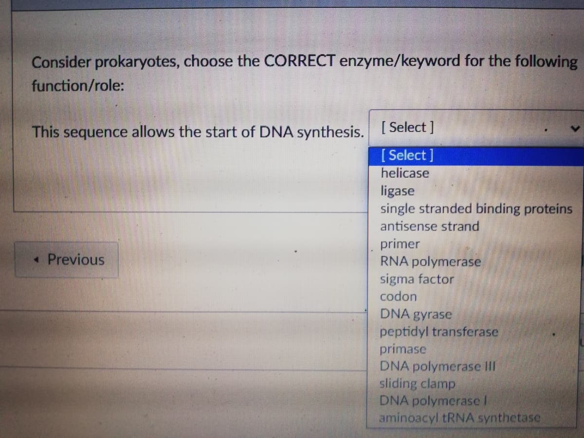 Consider prokaryotes, choose the CORRECT enzyme/keyword for the following
function/role:
This sequence allows the start of DNA synthesis. I Select ]
[ Select ]
helicase
ligase
single stranded binding proteins
antisense strand
primer
RNA polymerase
sigma factor
codon
- Previous
DNA gyrase
peptidyl transferase
primase
DNA polymerase II
sliding clamp
DNA polymerase l
aminoacyl TRNA synthetase
