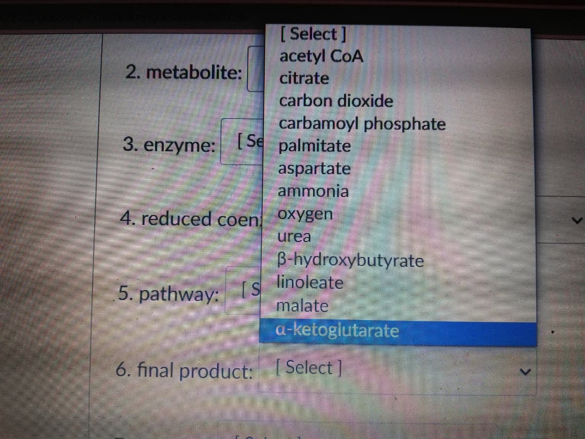 [Select ]
acetyl CoA
citrate
2. metabolite:
carbon dioxide
carbamoyl phosphate
[Se palmitate
3. enzyme:
aspartate
ammonia
4. reduced coen oxygen
urea
B-hydroxybutyrate
linoleate
malate
5. pathway:
a-ketoglutarate
6. final product: (Select]
