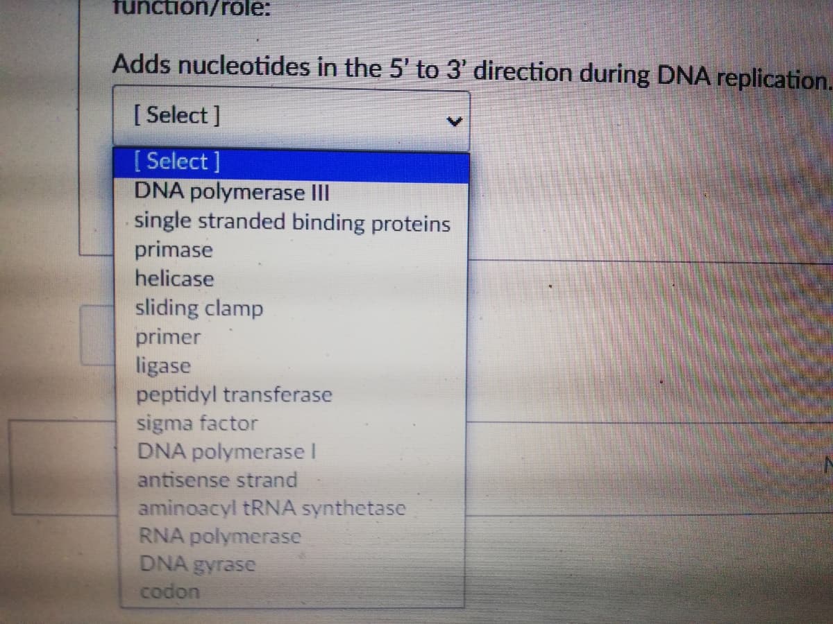 function/role:
Adds nucleotides in the 5' to 3' direction during DNA replication.
[ Select ]
[ Select ]
DNA polymerase III
single stranded binding proteins
primase
helicase
sliding clamp
primer
ligase
peptidyl transferase
sigma factor
DNA polymerase I
antisense strand
aminoacyl TRNA synthetase
RNA polymerase
DNA gyrase
codon
