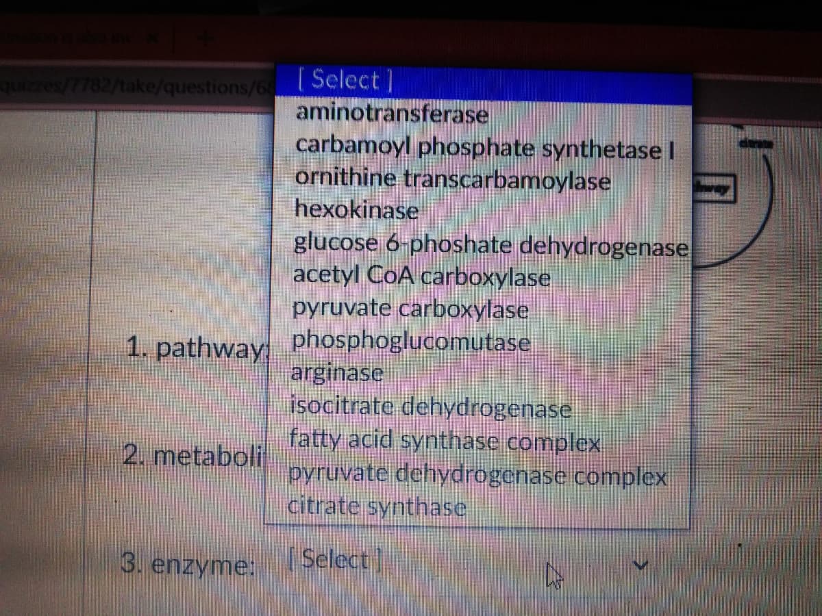 [ Select ]
aminotransferase
carbamoyl phosphate synthetase I
ornithine transcarbamoylase
hexokinase
quizzes/7782/take/questions/6
glucose 6-phoshate dehydrogenase
acetyl CoA carboxylase
pyruvate carboxylase
1. pathway Phosphoglucomutase
arginase
isocitrate dehydrogenase
fatty acid synthase complex
pyruvate dehydrogenase complex
citrate synthase
2. metaboli
3. enzyme:
[ Select ]
