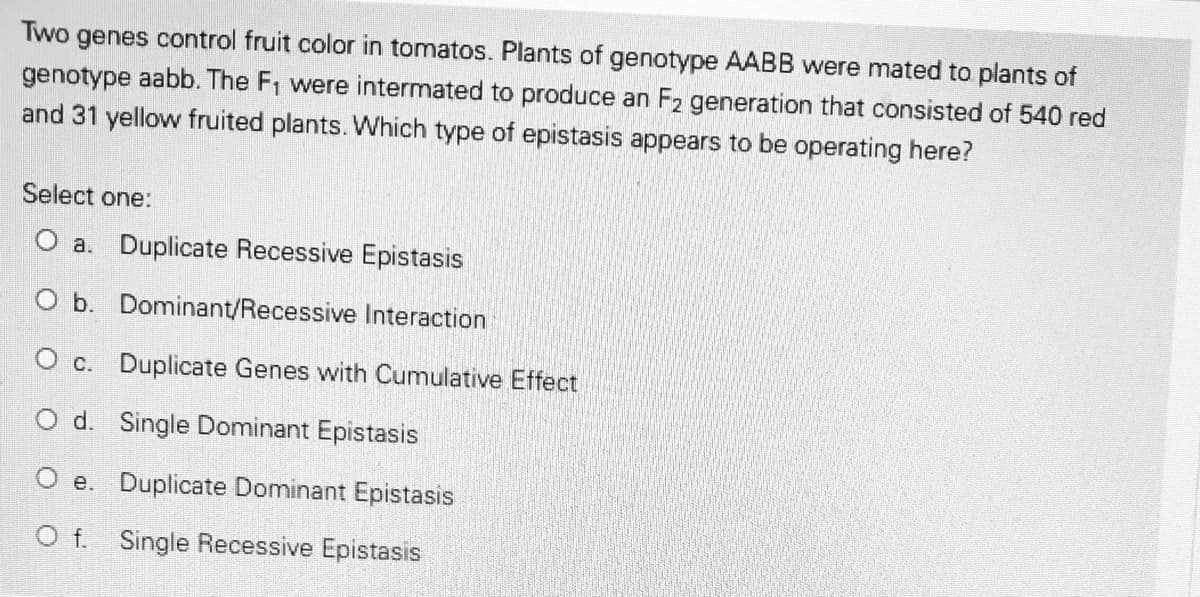 Two genes control fruit color in tomatos. Plants of genotype AABB were mated to plants of
genotype aabb. The F1 were intermated to produce an F2 generation that consisted of 540 red
and 31 yellow fruited plants. Which type of epistasis appears to be operating here?
Select one:
O a. Duplicate Recessive Epistasis
O b. Dominant/Recessive Interaction
O c. Duplicate Genes with Cumulative Effect
O d. Single Dominant Epistasis
O e. Duplicate Dominant Epistasis
O f. Single Recessive Epistasis
