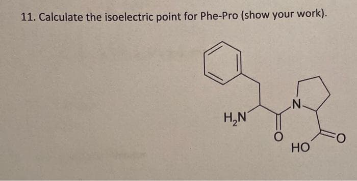 11. Calculate the isoelectric point for Phe-Pro (show your work).
N.
H,N'
O:
Но
