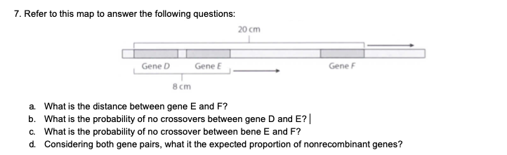 7. Refer to this map to answer the following questions:
20 cm
Gene D
Gene E
Gene F
8 cm
a. What is the distance between gene E and F?
b. What is the probability of no crossovers between gene D and E?|
c. What is the probability of no crossover between bene E and F?
