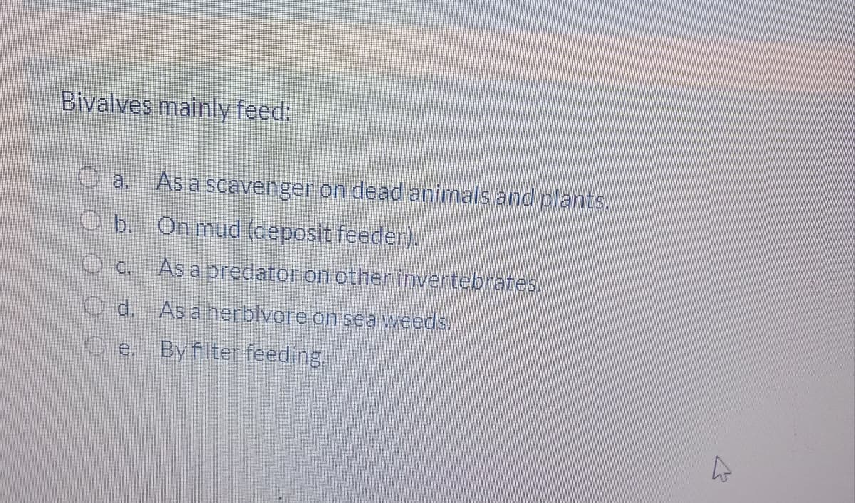 Bivalves mainly feed:
a.
As a scavenger on dead animals and plants.
O b. On mud (deposit feeder).
As a predator on other invertebrates.
d. As a herbivore on sea weeds.
Oe. By filter feeding.
