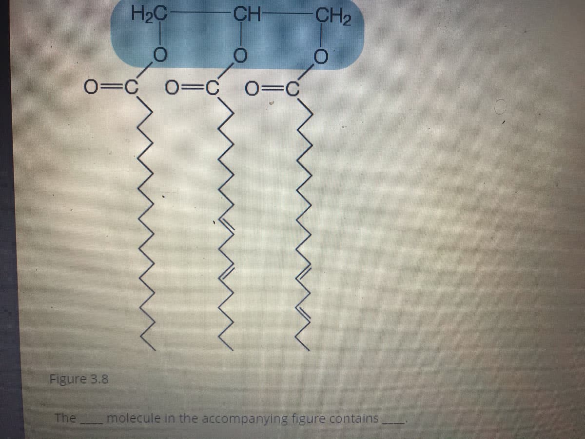 H2C
CH
CH2
0=C
O=C 0=C
Figure 3.8
The
molecule in the accompanying figure contains
