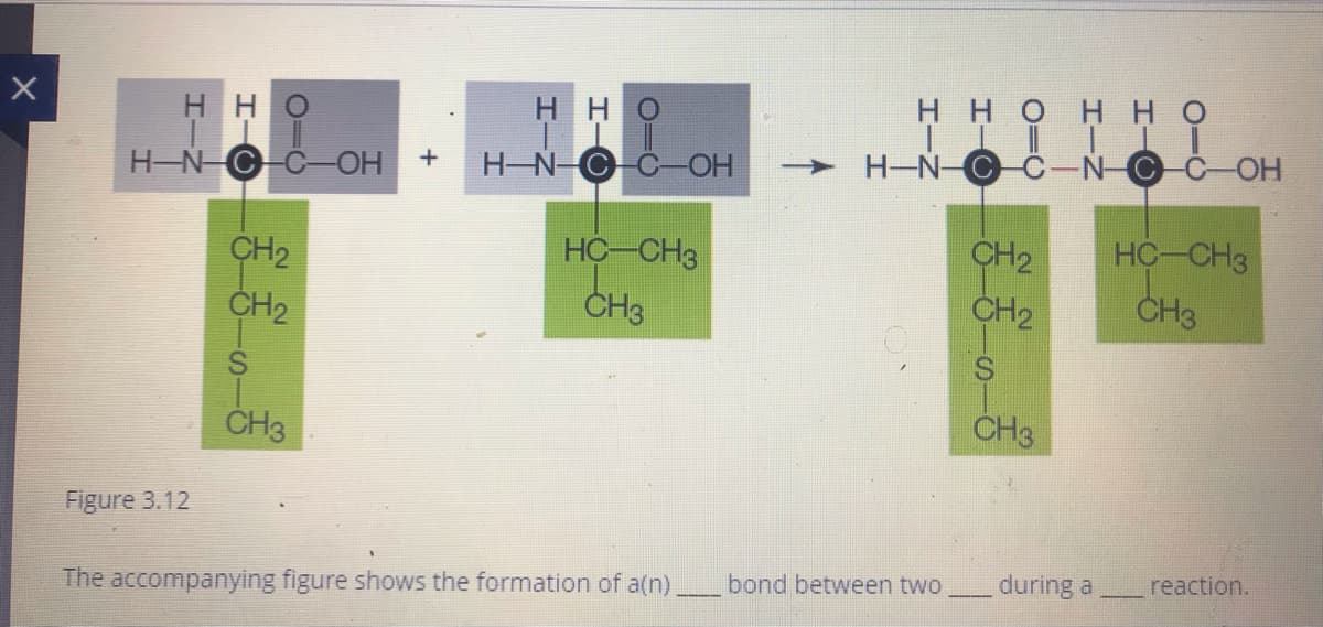 нно н но
T 1 I T
C-N C
HHO
H HO
H-NCC-OH
H-N-C C-OH
> H-N-C
HC-CH3
CH2
CH2
HC-CH3
CH3
CH2
CH2
CH3
ČH3
CH3
Figure 3.12
bond between two
during a
reaction.
The accompanying figure shows the formation of a(n)
