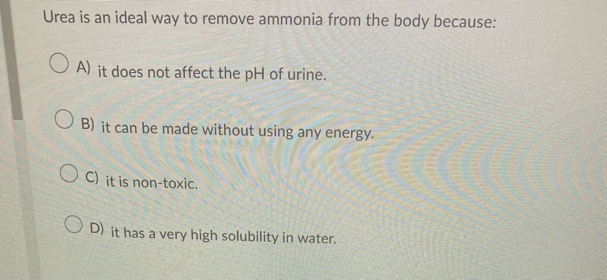 Urea is an ideal way to remove ammonia from the body because:
OA) it does not affect the pH of urine.
OB) it can be made without using any energy.
OC) it is non-toxic.
OD) it has a very high solubility in water.
