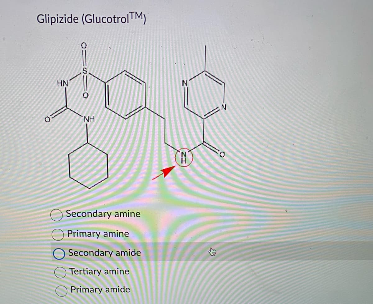 Glipizide (Glucotrol™M)
HN
O
NH
Secondary amine
Primary amine
Secondary amide
Tertiary amine
Primary amide
N
N
www
N
0