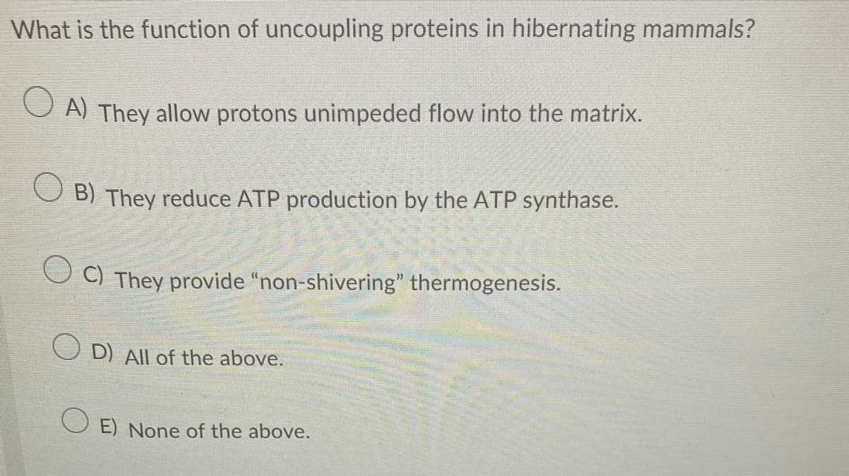 What is the function of uncoupling proteins in hibernating mammals?
A) They allow protons unimpeded flow into the matrix.
OB) They reduce ATP production by the ATP synthase.
OC) They provide "non-shivering" thermogenesis.
OD) All of the above.
OE) None of the above.