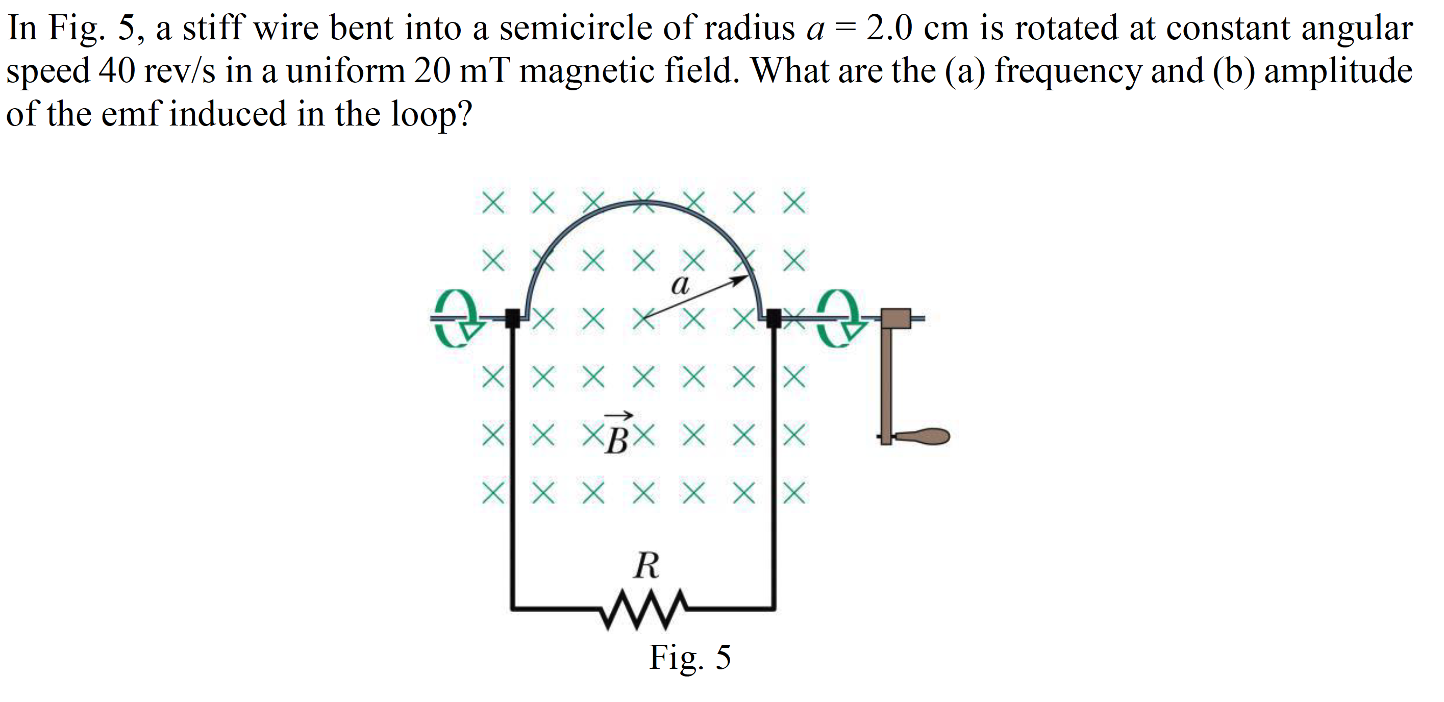 In Fig. 5, a stiff wire bent into a semicircle of radius a = 2.0 cm is rotated at constant angular
speed 40 rev/s in a uniform 20 mT magnetic field. What are the (a) frequency and (b) amplitude
of the emf induced in the loop?
XX X X X XX
XX XBX X XX
XX X X X X
R
Fig. 5
