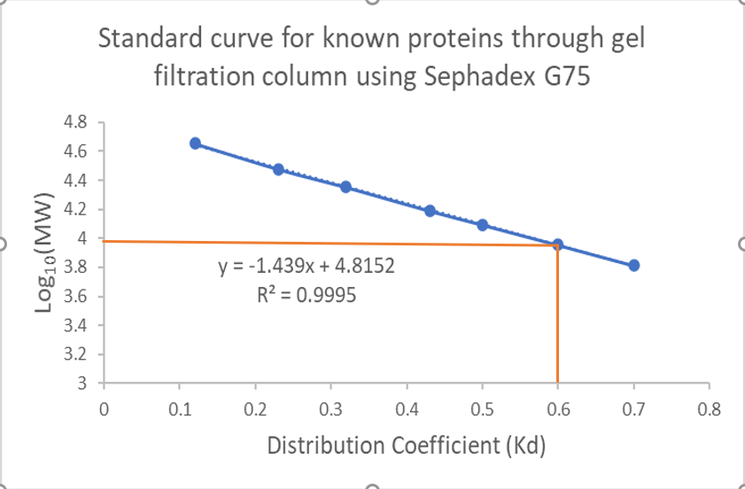 Standard curve for known proteins through gel
filtration column using Sephadex G75
4.8
4.6
4.4
4.2
4
y = -1.439x + 4.8152
R2 = 0.9995
3.8
3.6
3.4
3.2
3
0.1
0.2
0.3
0.4
0.5
0.6
0.7
0.8
Distribution Coefficient (Kd)
Log10(MW)
