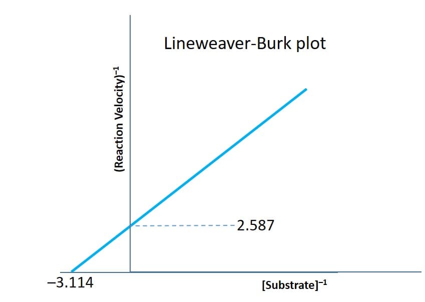 Lineweaver-Burk plot
--2.587
-3.114
[Substrate]1
(Reaction Velocity)-1
