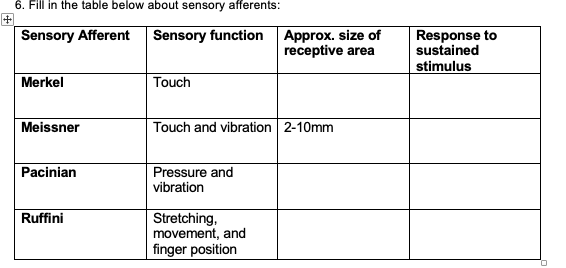 6. Fill in the table below about sensory afferents:
Sensory Afferent
Merkel
Meissner
Pacinian
Ruffini
Sensory function
Touch
Touch and vibration 2-10mm
Pressure and
vibration
Approx. size of
receptive area
Stretching,
movement, and
finger position
Response to
sustained
stimulus