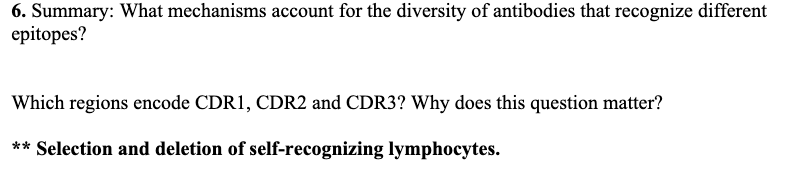 6. Summary: What mechanisms account for the diversity of antibodies that recognize different
epitopes?
Which regions encode CDR1, CDR2 and CDR3? Why does this question matter?
** Selection and deletion of self-recognizing lymphocytes.