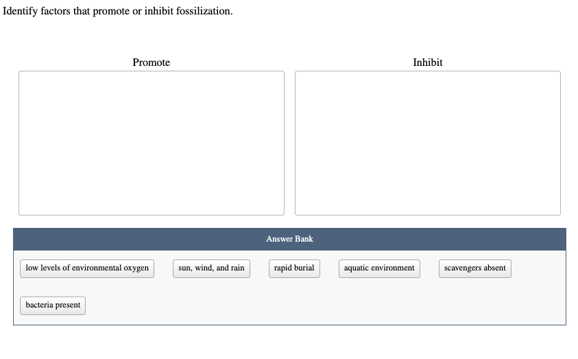 Identify factors that promote or inhibit fossilization.
Promote
Inhibit
Answer Bank
low levels of environmental oxygen
sun, wind, and rain
rapid burial
aquatic environment
scavengers absent
bacteria present
