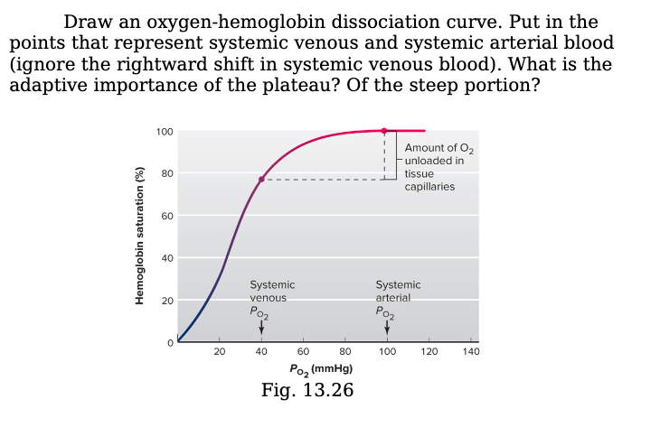 Draw an oxygen-hemoglobin dissociation curve. Put in the
points that represent systemic venous and systemic arterial blood
(ignore the rightward shift in systemic venous blood). What is the
adaptive importance of the plateau? Of the steep portion?
Hemoglobin saturation (%)
100
80
80
8
20
O
20
Systemic
venous
40
60
80
Po₂ (mmHg)
Fig. 13.26
Amount of O₂
unloaded in
tissue
capillaries
Systemic
arterial
Рог
100
120
140