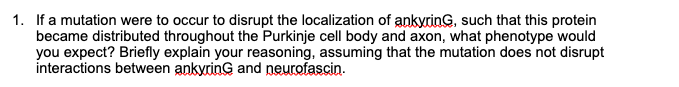 1. If a mutation were to occur to disrupt the localization of ankyring, such that this protein
became distributed throughout the Purkinje cell body and axon, what phenotype would
you expect? Briefly explain your reasoning, assuming that the mutation does not disrupt
interactions between ankyring and neurofascin.