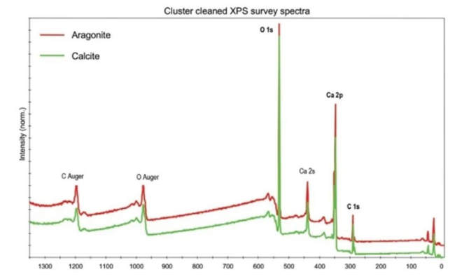 Cluster cleaned XPS survey spectra
O 1s
Aragonite
Calcite
Ca 2p
Ca 2
C Auger
O Auger
1300
1200
1100
1000
900
800
700
600
500
400
300 200
100
Intensity (norm.)
