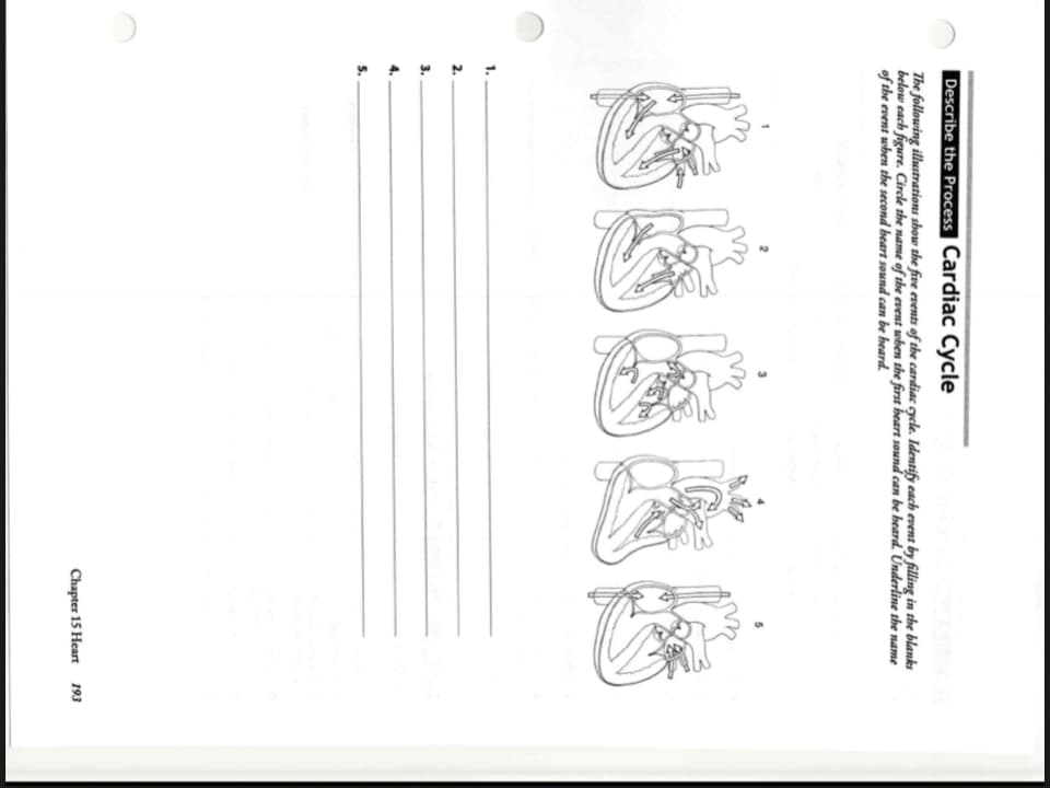 Describe the Process Cardiac Cycle
The following illustrations show the five events of the cardiac cycle. Identify each event by filling in the blanks
below cach figure. Circle the name of the event when the first beart sound can be heard. Underline the name
of the event when the second heart sound can be heard.
2.
3.
Chapter 15 Heart 193
