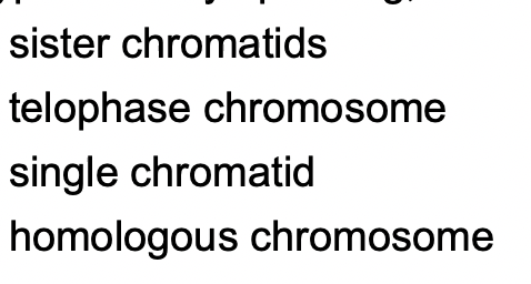 sister chromatids
telophase chromosome
single chromatid
homologous chromosome