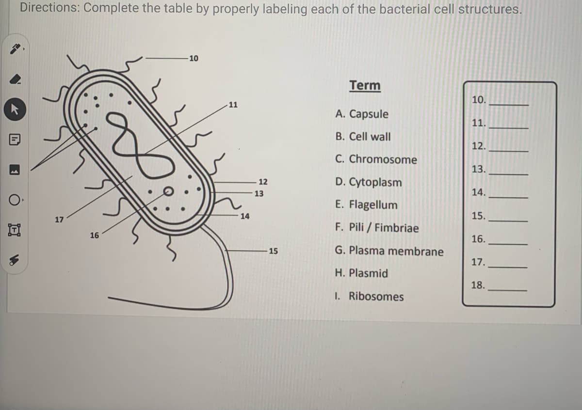 Directions: Complete the table by properly labeling each of the bacterial cell structures.
10
Term
10.
11
A. Capsule
11.
B. Cell wall
12.
C. Chromosome
13.
D. Cytoplasm
12
13
14.
E. Flagellum
14
15.
17
F. Pili / Fimbriae
16
16.
15
G. Plasma membrane
17.
H. Plasmid
18.
I. Ribosomes
