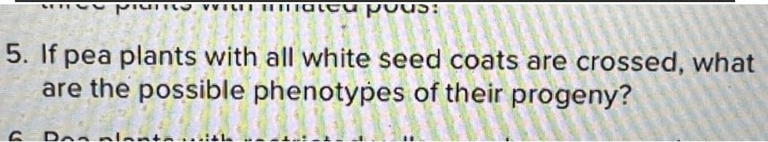 ne pas VYTLET BETRated po
5. If pea plants with all white seed coats are crossed, what
are the possible phenotypes of their progeny?
6 Donn