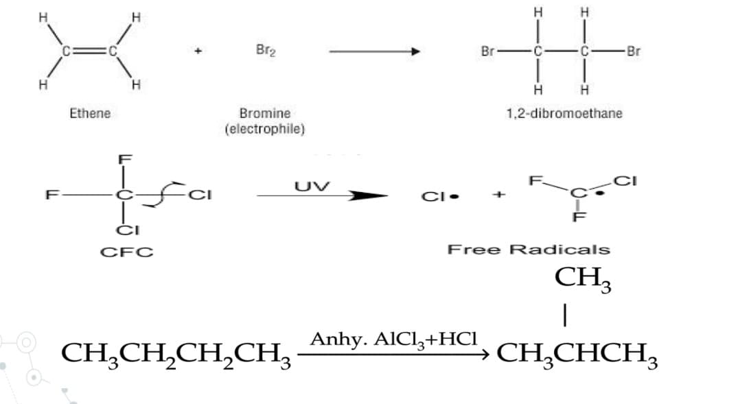 H
H
Br2
Br
-Br
H
H
Ethene
Bromine
1,2-dibromoethane
(electrophile)
UV
F
CI•
+
ĆI
CFC
Free R adicals
CH3
Anhy. AlCl,+HCI
CH,CH,CH,CH,
CH,CHCH,
