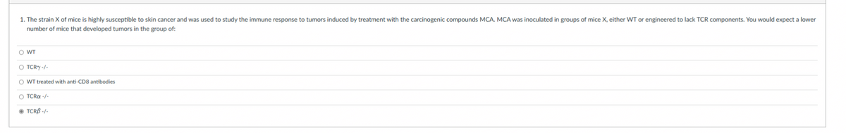 1. The strain X of mice is highly susceptible to skin cancer and was used to study the immune response to tumors induced by treatment with the carcinogenic compounds MCA. MCA was inoculated in groups of mice X, either WT or engineered to lack TCR components. You would expect a lower
number of mice that developed tumors in the group of:
O WT
O TCRY-/-
O WT treated with anti-CD8 antibodies
O TCRA -/-
ⒸTCRB-/-