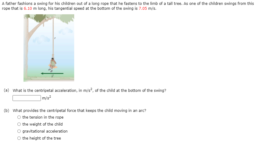 A father fashions a swing for his children out of a long rope that he fastens to the limb of a tall tree. As one of the children swings from this
rope that is 6.10 m long, his tangential speed at the bottom of the swing is 7.05 m/s.
(a) What is the centripetal acceleration, in m/s?, of the child at the bottom of the swing?
m/s?
(b) What provides the centripetal force that keeps the child moving in an arc?
O the tension in the rope
O the weight of the child
gravitational acceleration
O the height of the tree
