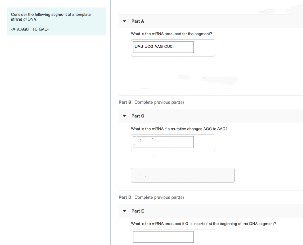 Consider the following segment of a template
strand of DNA:
Part A
-ATA AGC TTC GAC-
What is the mRNA produced for the segment?
-UAU-UCG-AAG-CUC-
Part B Complete previous part(s)
• Part C
What is the mRNA if a mutation changes AGC to AAC?
Part D Complete previous part(s)
Part E
What is the MRNA produced if G is inserted at the beginning of the DNA segment?

