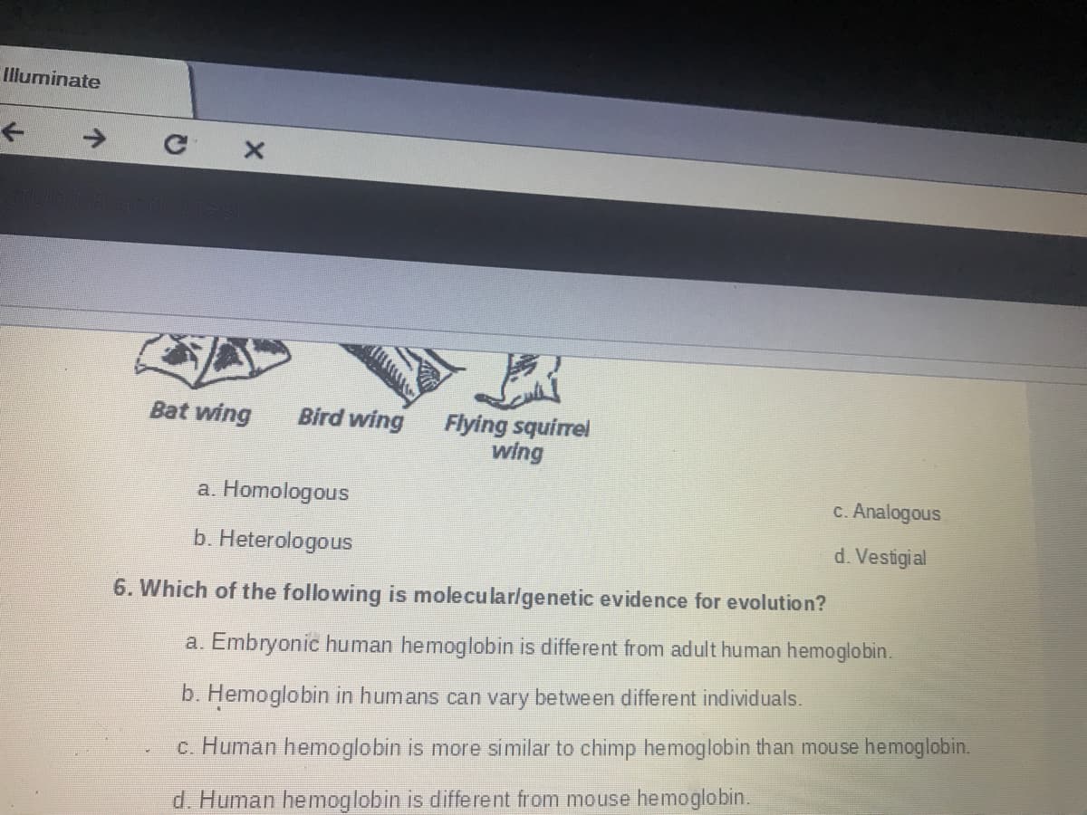 Illuminate
Bat wing
Bird wing
Flying squirel
wing
a. Homologous
c. Analogous
b. Heterologous
d. Vestigial
6. Which of the following is molecularlgenetic evidence for evolution?
a. Embryonic human hemoglobin is different from adult human hemoglobin.
b. Hemoglobin in humans can vary between different individuals.
c. Human hemoglobin is more similar to chimp hemoglobin than mouse hemoglobin.
d. Human hemoglobin is different from mouse hemoglobin.
个
