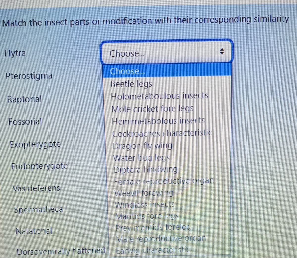 Match the insect parts or modification with their corresponding similarity
Elytra
Pterostigma
Raptorial
Fossorial
Exopterygote
Endopterygote
Vas deferens
Spermatheca
Natatorial
Dorsoventrally flattened
Choose...
Choose...
Beetle legs
Holometaboulous insects
Mole cricket fore legs
Hemimetabolous insects
Cockroaches characteristic
Dragon fly wing
Water bug legs
Diptera hindwing
Female reproductive organ
Weevil forewing
Wingless insects
Mantids fore le
Prey mantids foreleg
Male reproductive organ
Earwig characteristic