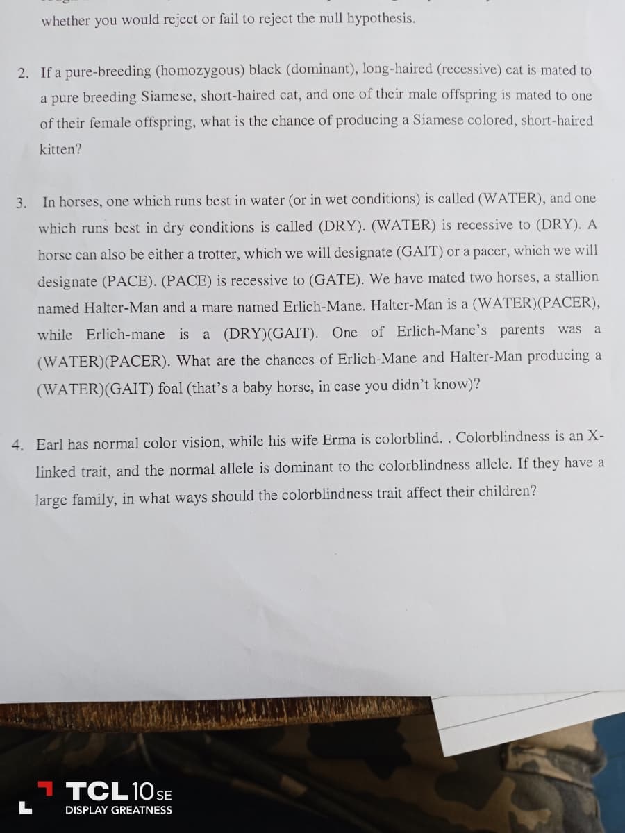 whether you would reject or fail to reject the null hypothesis.
2. If a pure-breeding (homozygous) black (dominant), long-haired (recessive) cat is mated to
a pure breeding Siamese, short-haired cat, and one of their male offspring is mated to one
of their female offspring, what is the chance of producing a Siamese colored, short-haired
kitten?
3. In horses, one which runs best in water (or in wet conditions) is called (WATER), and one
which runs best in dry conditions is called (DRY). (WATER) is recessive to (DRY). A
horse can also be either a trotter, which we will designate (GAIT) or a pacer, which we will
designate (PACE). (PACE) is recessive to (GATE). We have mated two horses, a stallion
named Halter-Man and a mare named Erlich-Mane. Halter-Man is a (WATER) (PACER),
while Erlich-mane is a (DRY) (GAIT). One of Erlich-Mane's parents was a
(WATER) (PACER). What are the chances of Erlich-Mane and Halter-Man producing a
(WATER) (GAIT) foal (that's a baby horse, in case you didn't know)?
4. Earl has normal color vision, while his wife Erma is colorblind. . Colorblindness is an X-
linked trait, and the normal allele is dominant to the colorblindness allele. If they have a
large family, in what ways should the colorblindness trait affect their children?
TCL 10 SE
DISPLAY GREATNESS